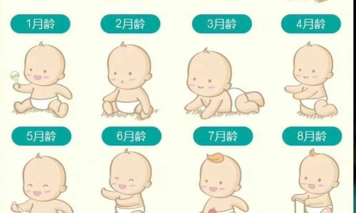 婴儿益生菌的服用方法-婴特儿益生菌吃法网—知名的婴幼儿益生菌的作用与功效网站,分享婴幼儿专用益生菌菌株知识