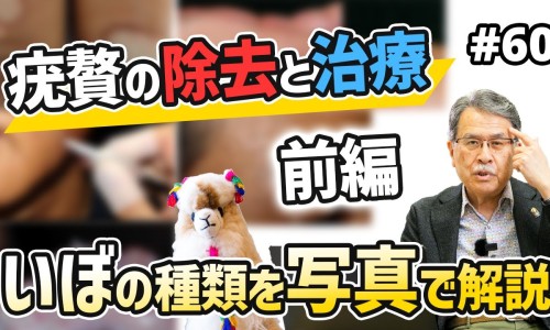 婴特儿益生菌吃法与用量-婴特儿益生菌吃法网—知名的婴幼儿益生菌的作用与功效网站,分享婴幼儿专用益生菌菌株知识